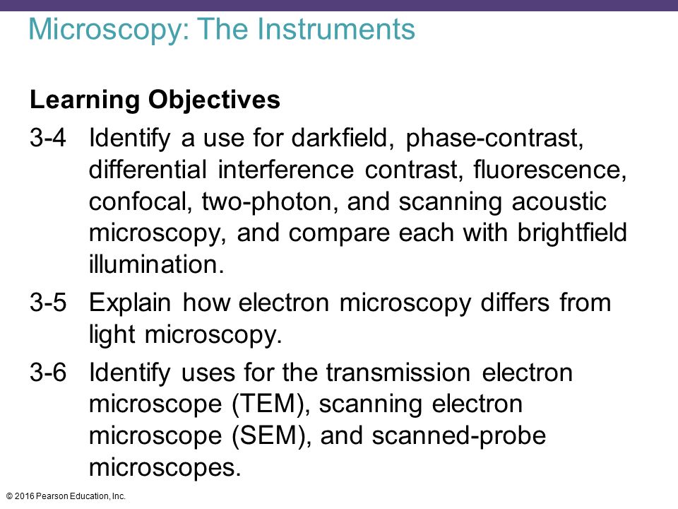 Microscopy: The Instruments