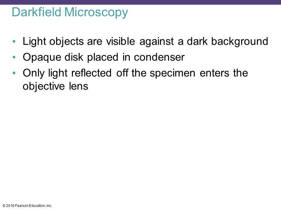 Darkfield Microscopy Light objects are visible against a dark background. Opaque disk placed in condenser.