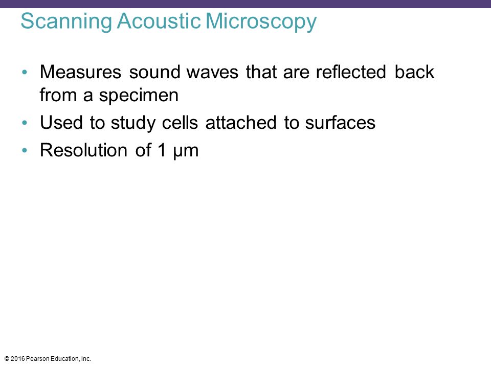 Scanning Acoustic Microscopy