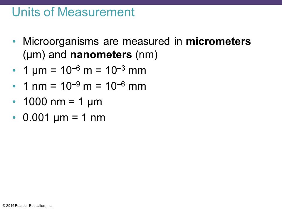 Units of Measurement Microorganisms are measured in micrometers (μm) and nanometers (nm) 1 µm = 10–6 m = 10–3 mm.