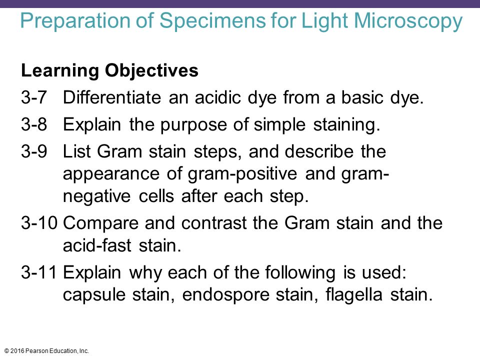 Preparation of Specimens for Light Microscopy
