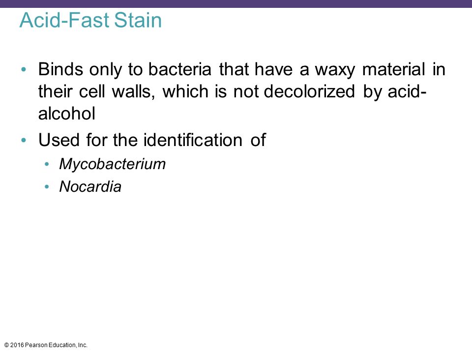 Acid-Fast Stain Binds only to bacteria that have a waxy material in their cell walls, which is not decolorized by acid-alcohol.