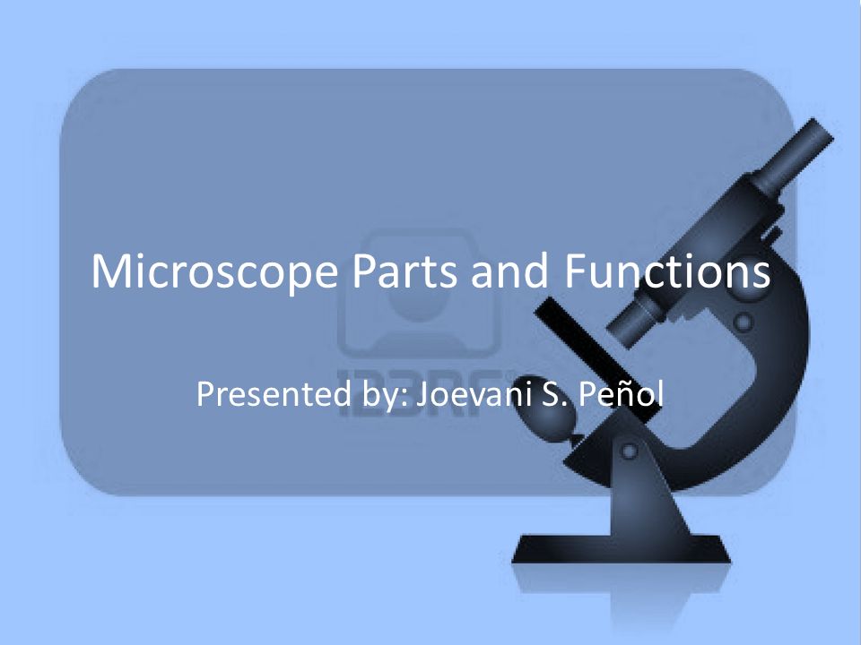 Microscope Parts and Functions