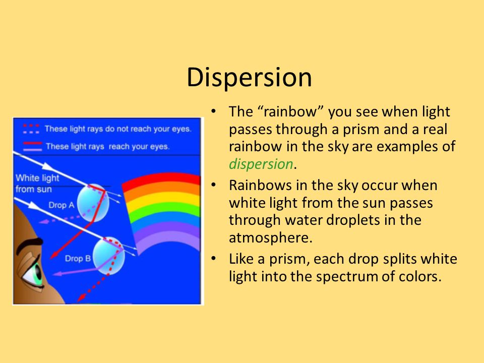 Dispersion The rainbow you see when light passes through a prism and a real rainbow in the sky are examples of dispersion.