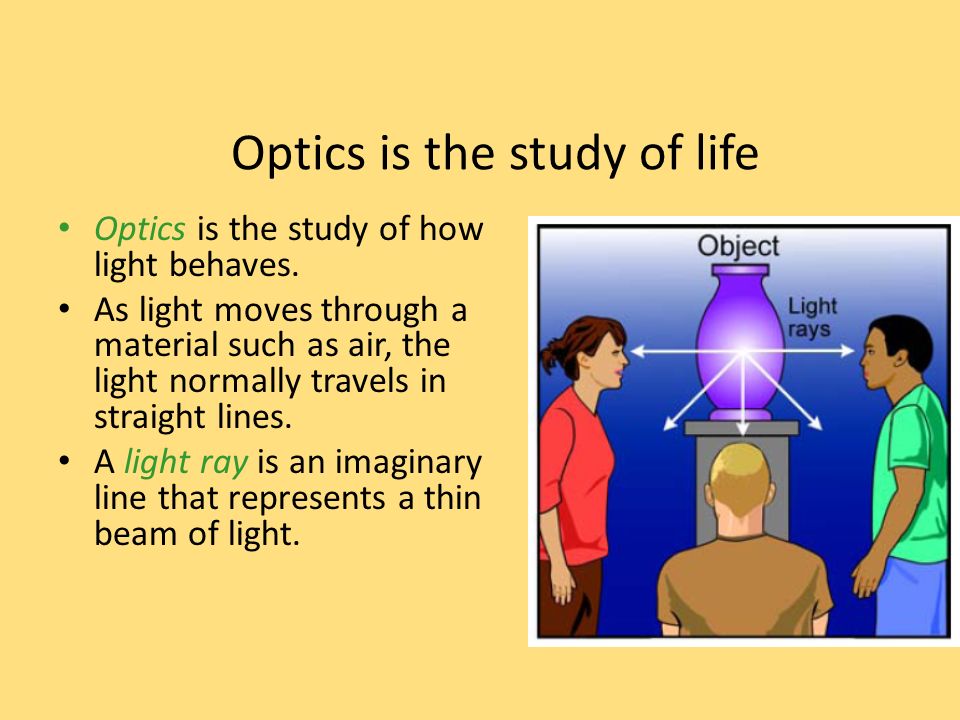Optics is the study of life