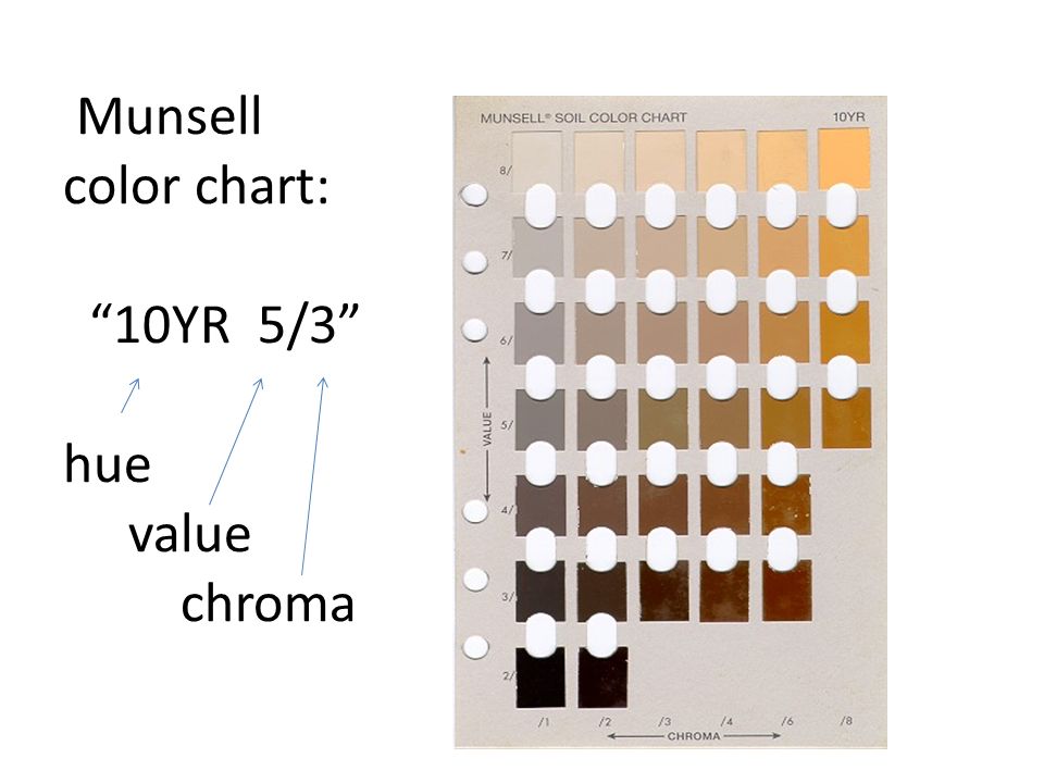 10yr Soil Color Chart