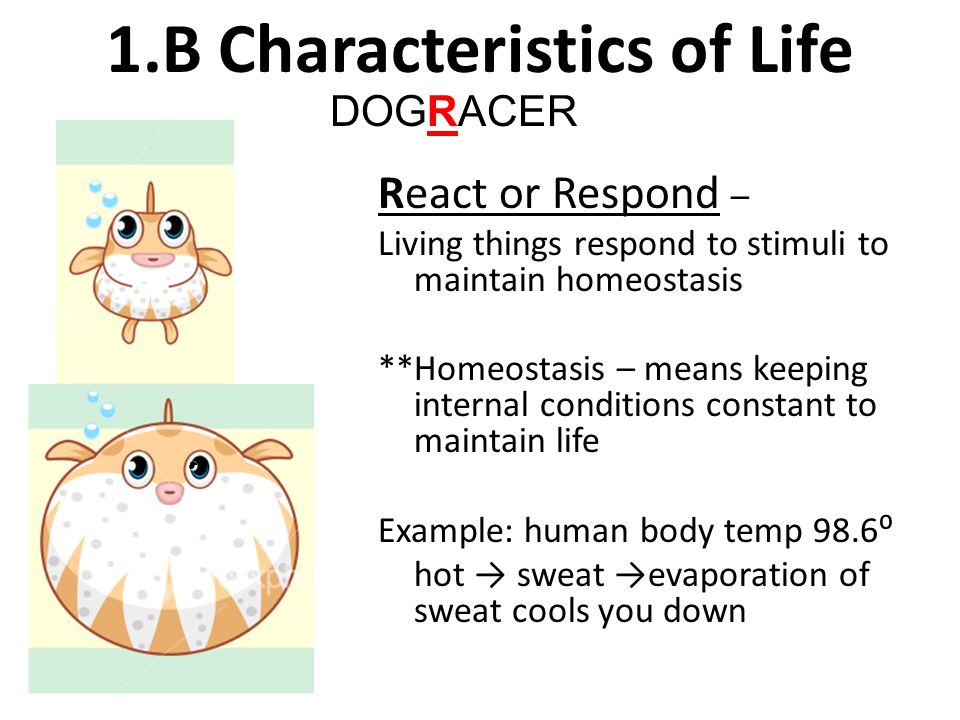 1 B Characteristics Of Life Ppt Video Online Download