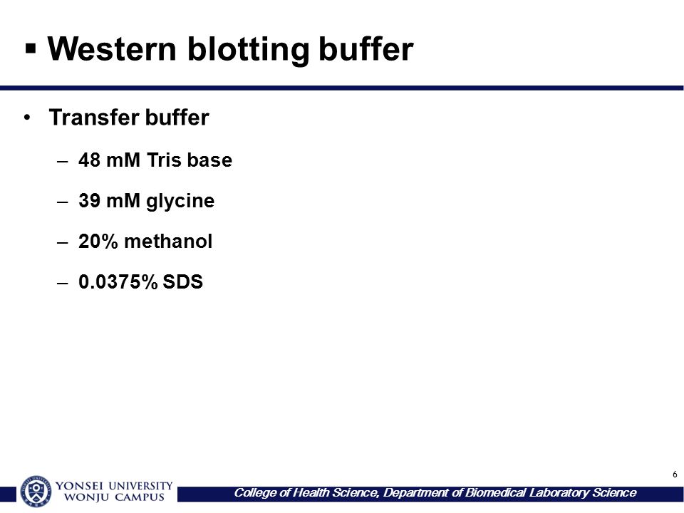 SDS-PAGE Western blotting (Transfer) - ppt video online download