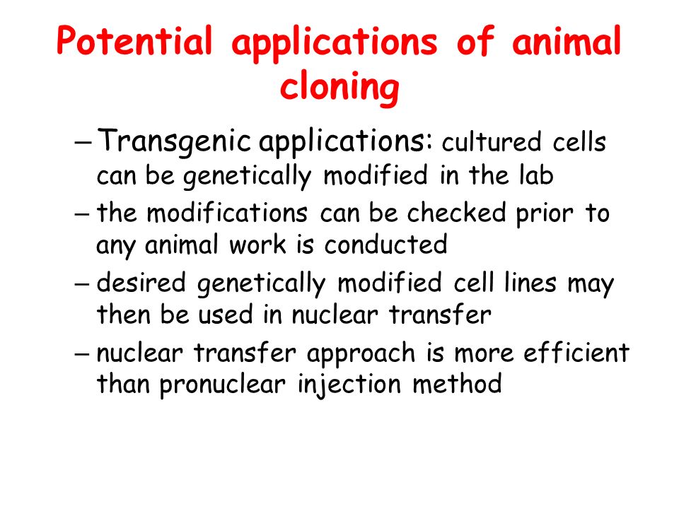 Animal cloning. - ppt download