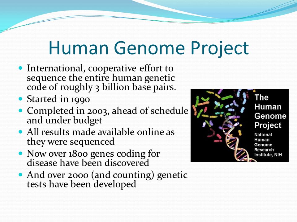 Human Genome Project International, cooperative effort to sequence the entire human genetic code of roughly 3 billion base pairs.