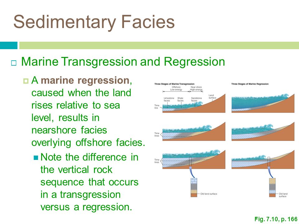 The 100th regression of the max level. Marine regression. Marine regression and regression. Трансгрессия профиль Ирвин. Дайте описание Facies nephritica.