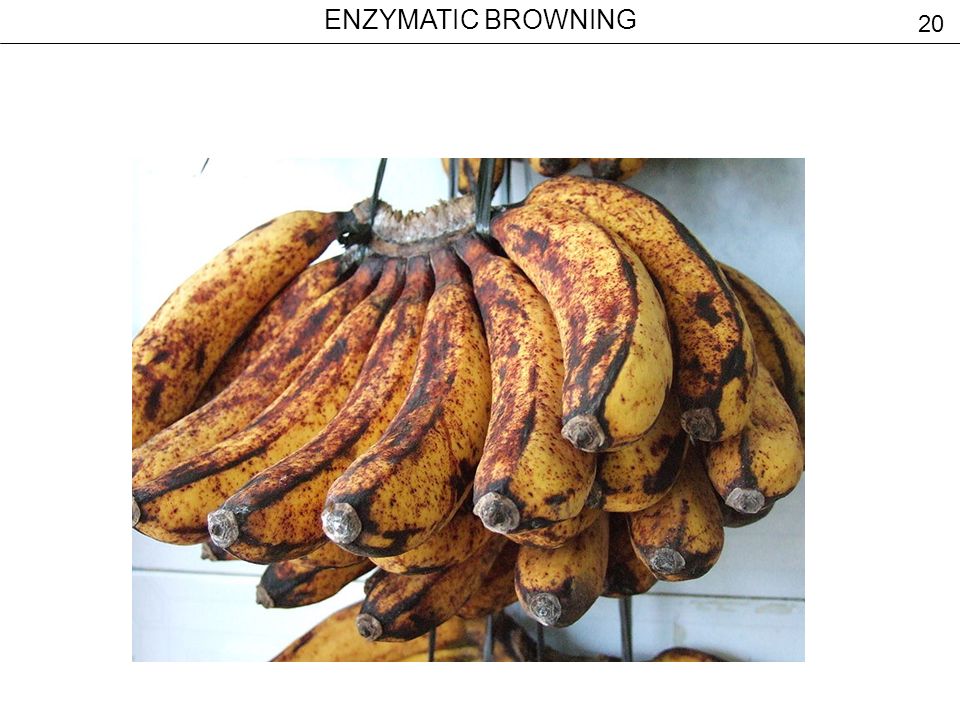 ENZYMATIC BROWNING 20