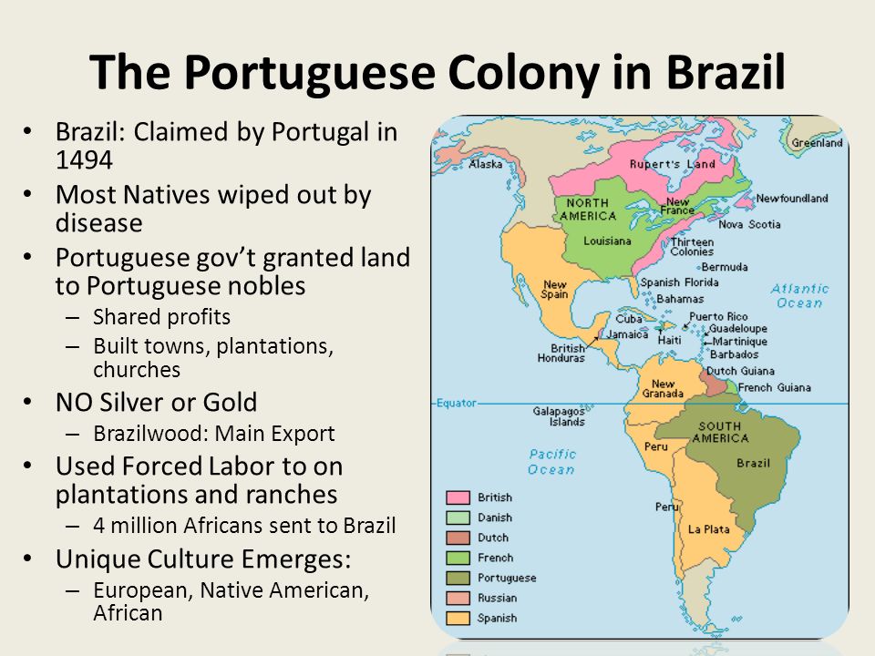 Spanish Portuguese Colonies In The Americas Ppt Video Online Download