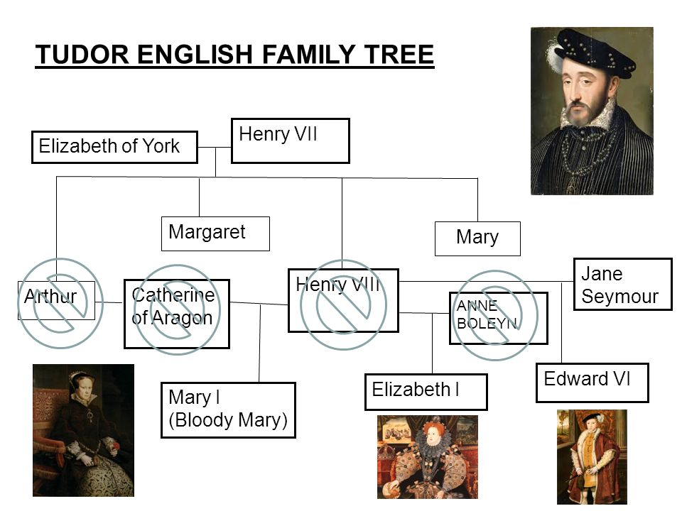 The Tudors Of England Lesson 6 Ppt Video Online Download