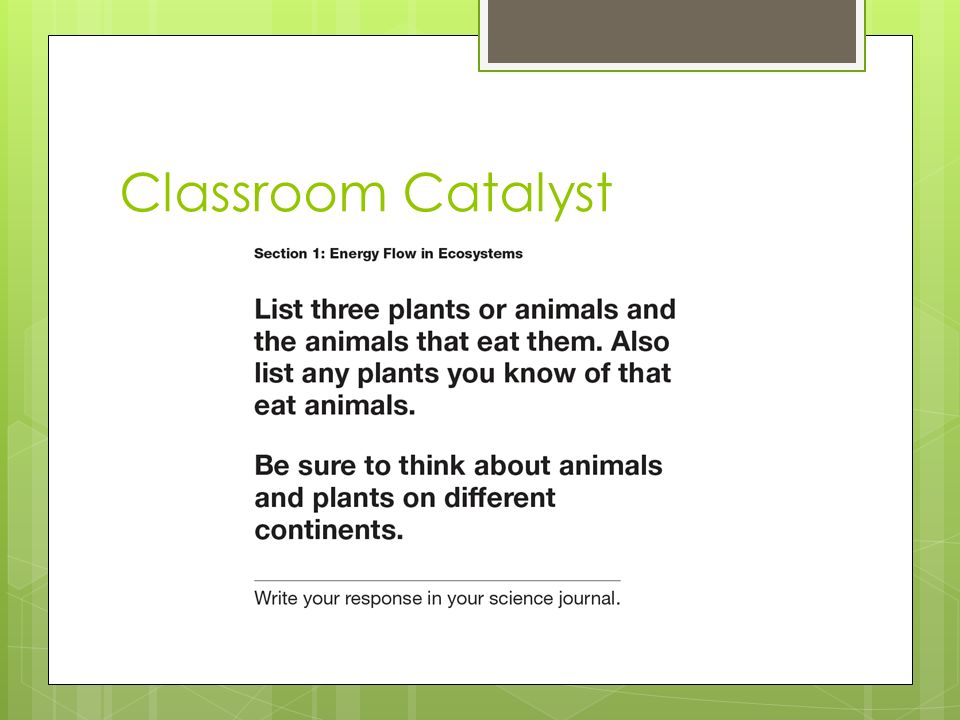 Classroom Catalyst