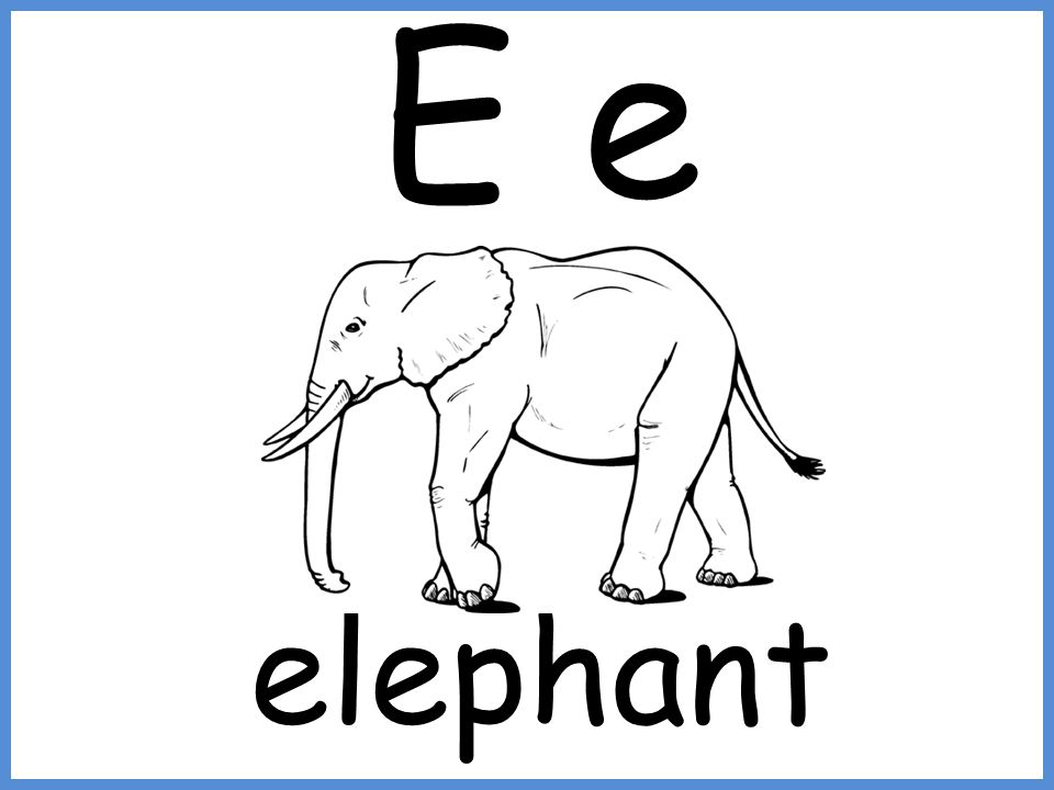 Apple Apple B For Ball C For Cat D For Dog E For Elephant F For Fish