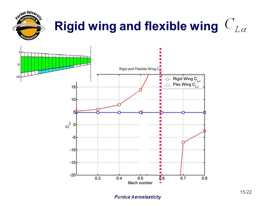 Rigid wing and flexible wing