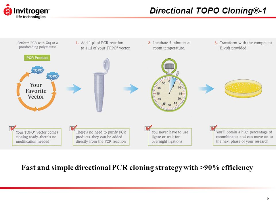 A Conduit to Proteomics - ppt video online download