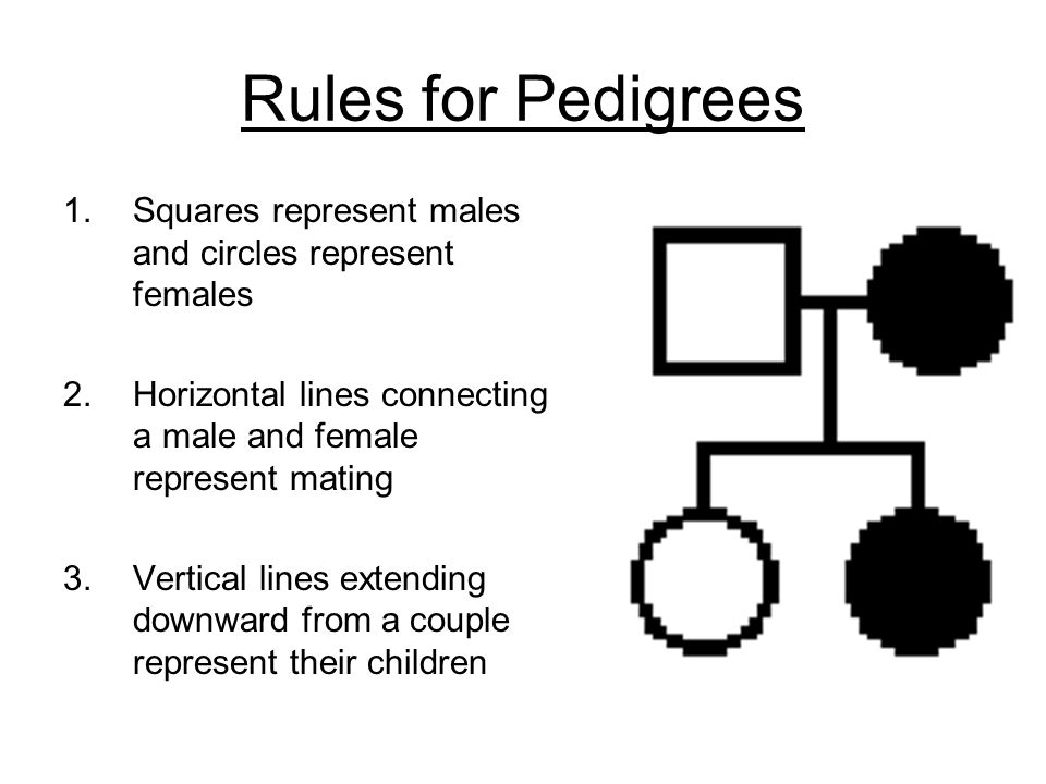 Pedigree Chart Rules