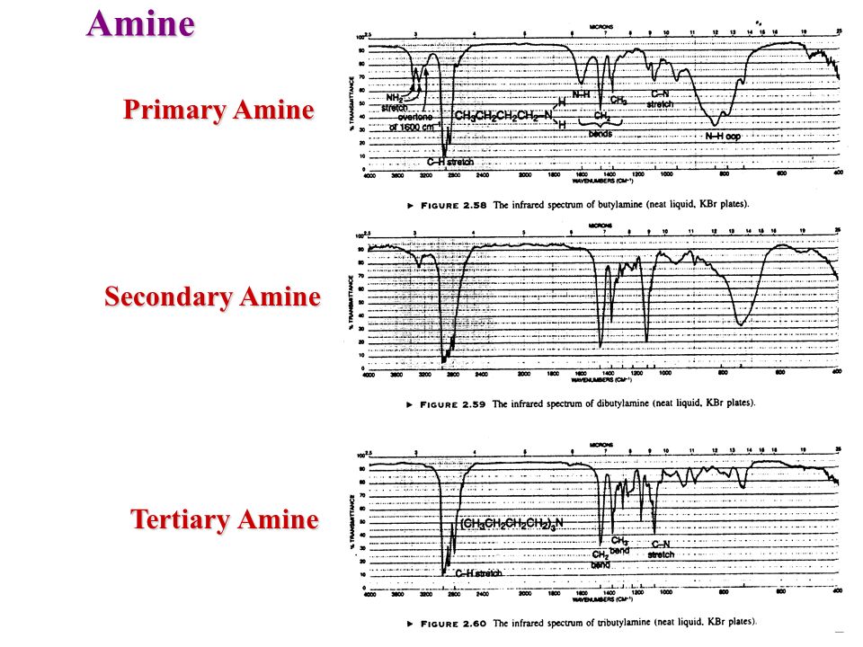 Amine Primary Amine Secondary Amine Tertiary Amine.