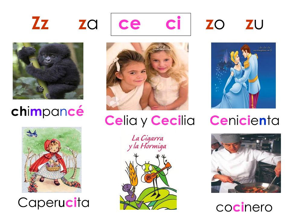 Zz za ce ci zo zu chimpancé Celia y Cecilia Cenicienta Caperucita