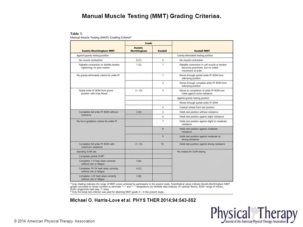Muscle Testing Chart