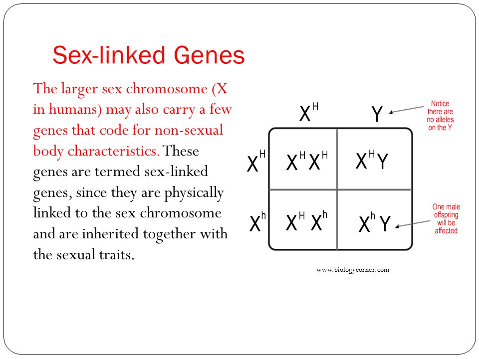 Sex-linked Genes.