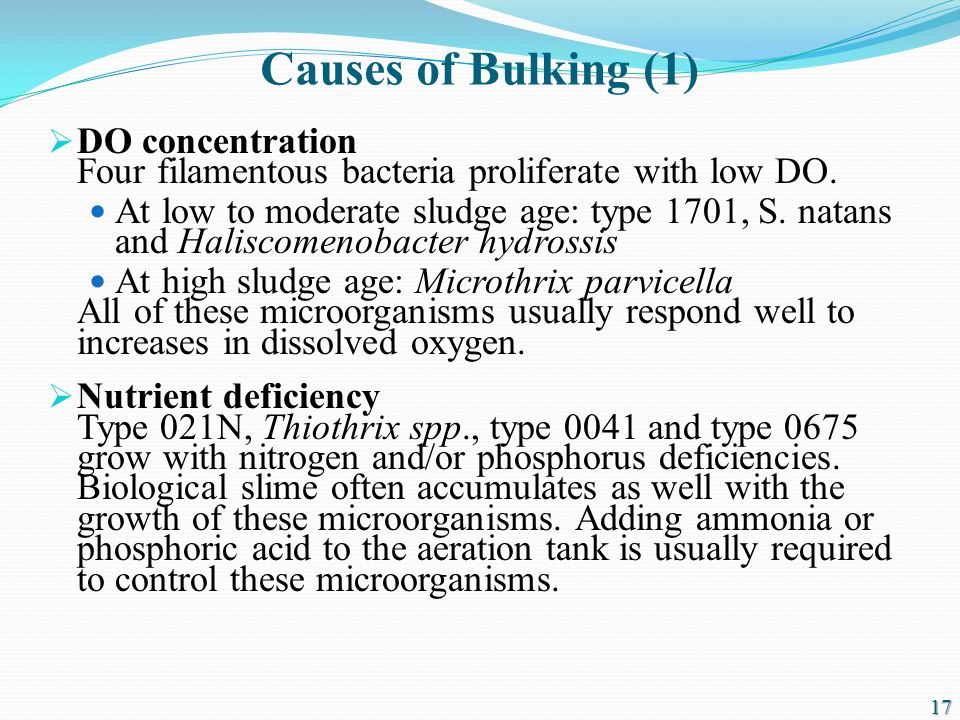 Bulking Control Jae K. (Jim) Park, Professor - ppt video online