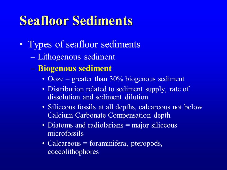 Composition Of Seawater Features Of The Sea Floor Ppt Video Online Download
