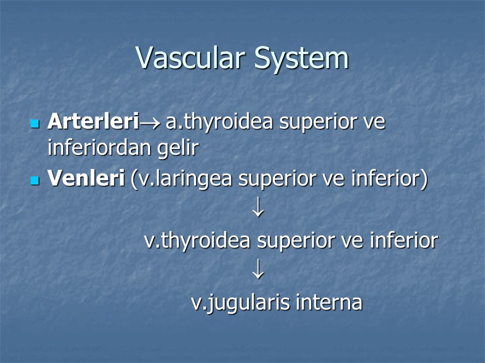 Vascular System Arterleri a.thyroidea superior ve inferiordan gelir