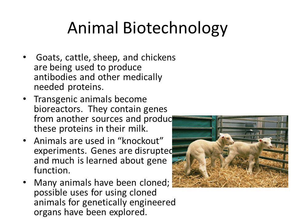 Unit 1 Biotechnology and Microbiology. - ppt download
