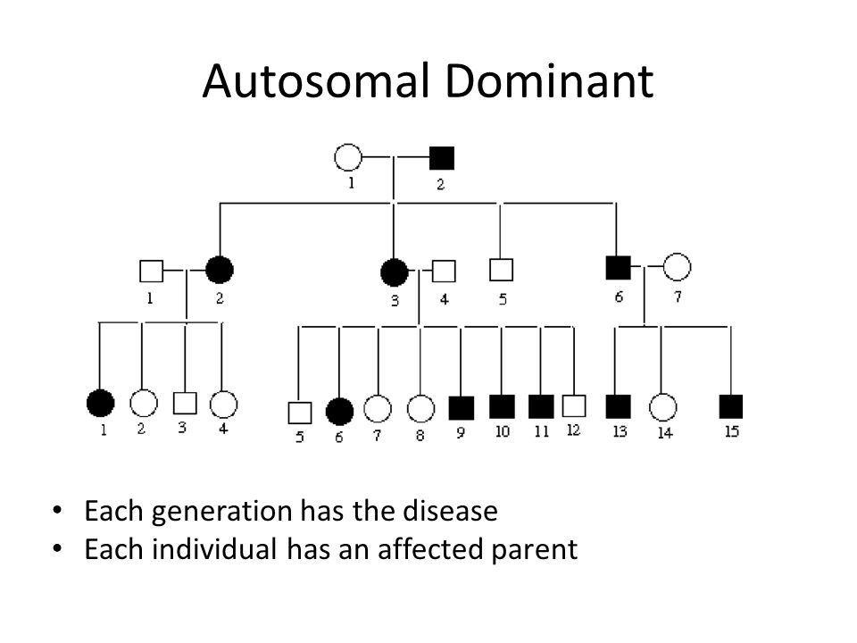 Each individual. Autosomal dominant Inheritance. Autosomal dominant Type of Inheritance. Moniletrikы autosomal dominant. Autosomal dominant disease.