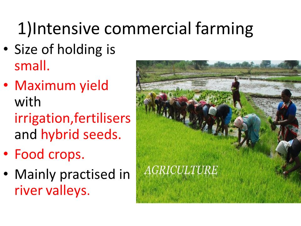 intensive farming in india