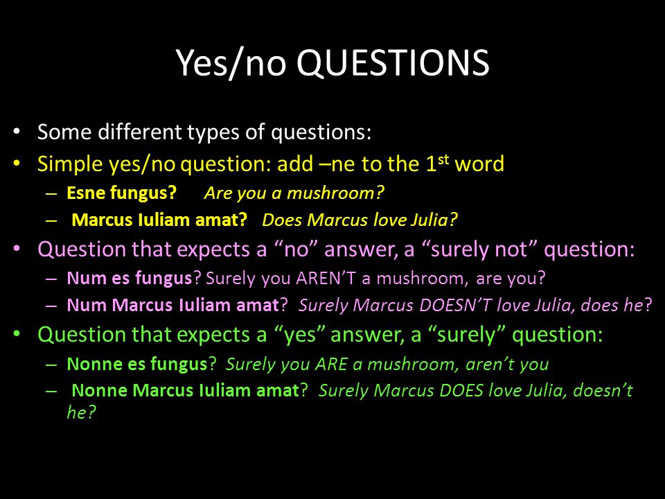 No love questions yes or Yes or