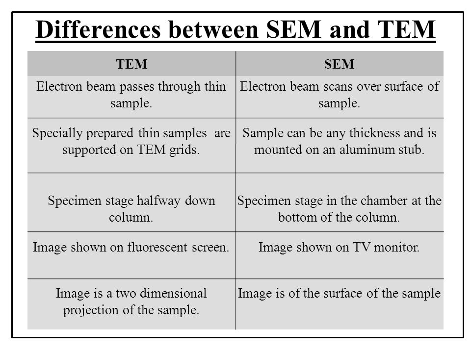 Differences between SEM and TEM.
