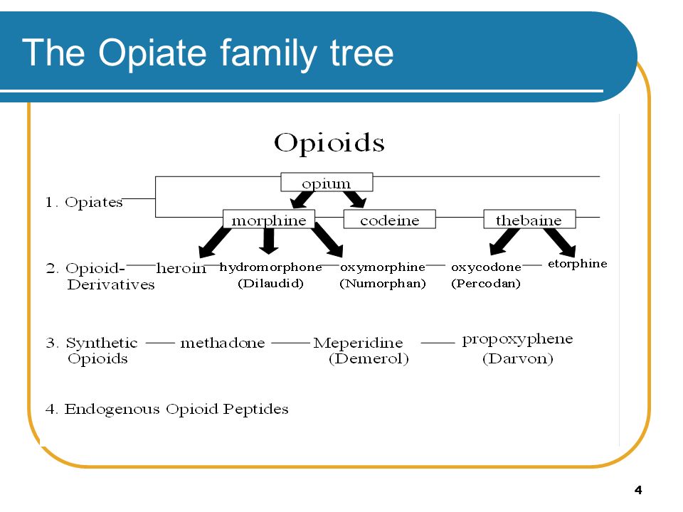 Opiate Addiction Treatment with Buprenorphine - ppt download