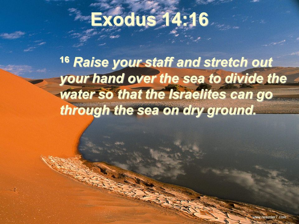 Exodus 14 14