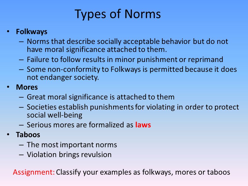 Your examples. Types of Norms. Types of social Norms. Functions social Norms.