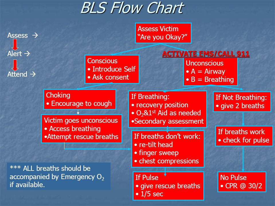 Ems Patient Assessment Flow Chart