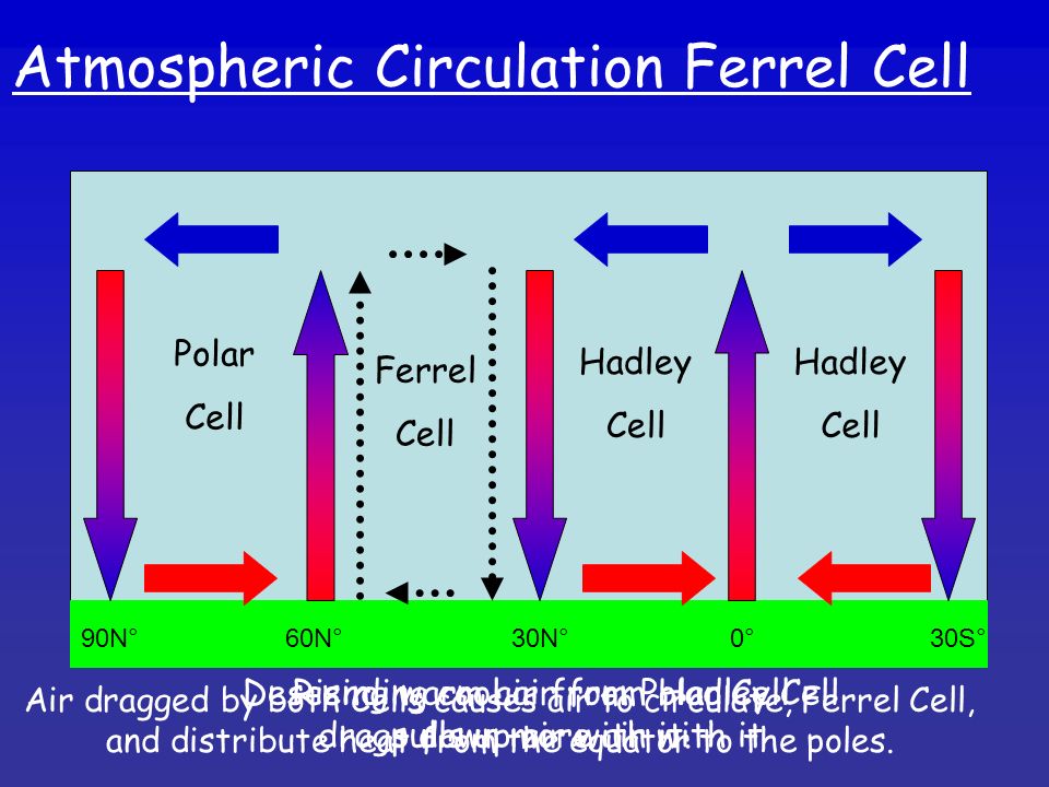 Atmospheric Circulation Ferrel Cell