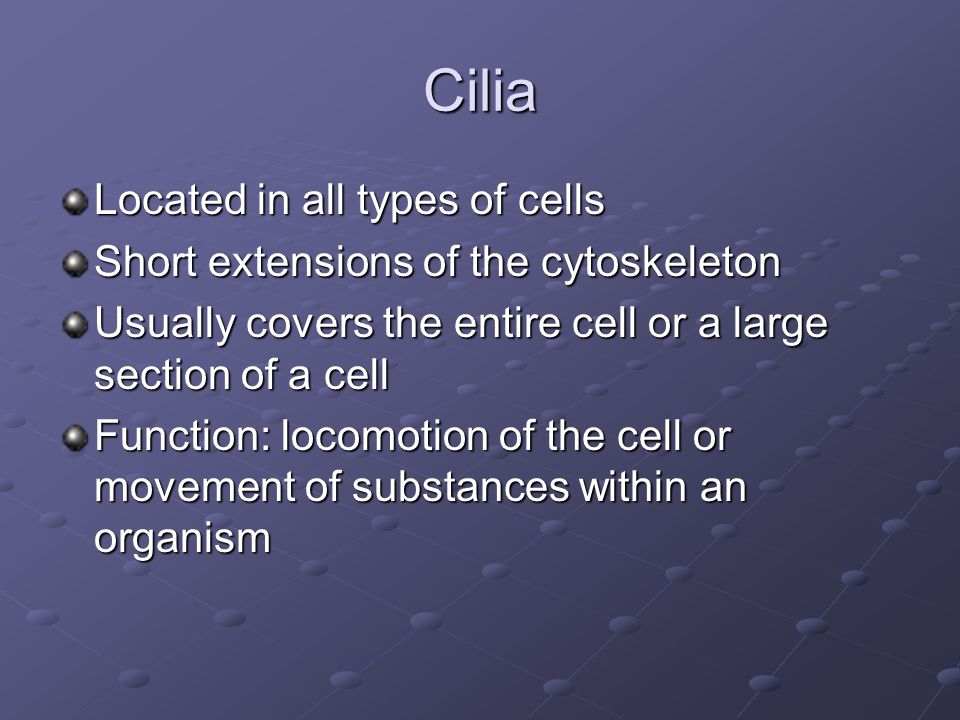 Cytology The study of cells. - ppt download