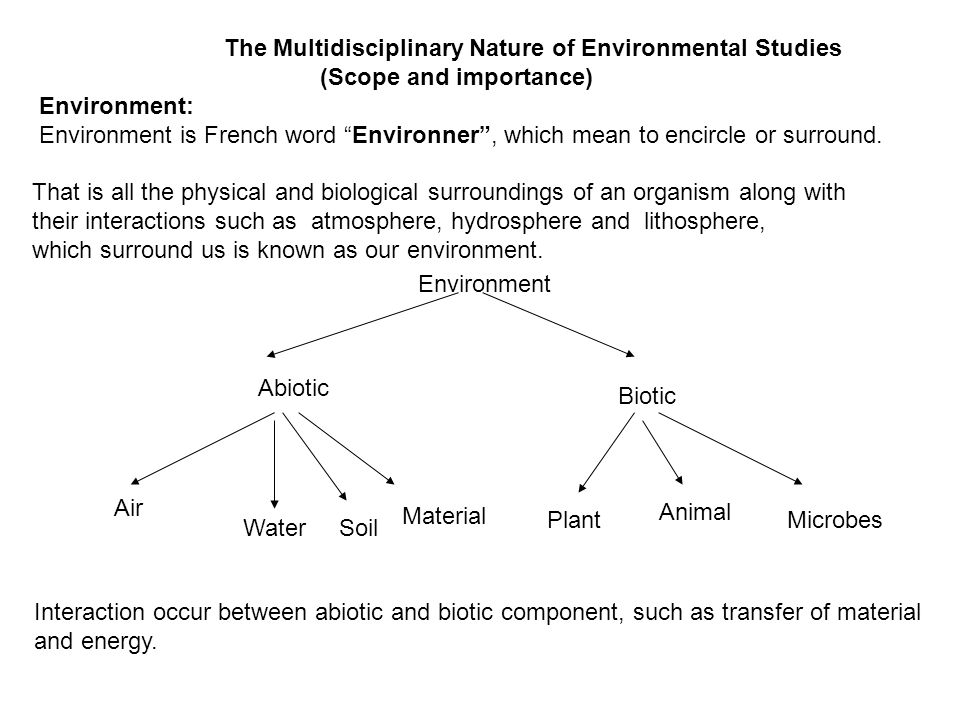 multidisciplinary nature of environmental studies definition