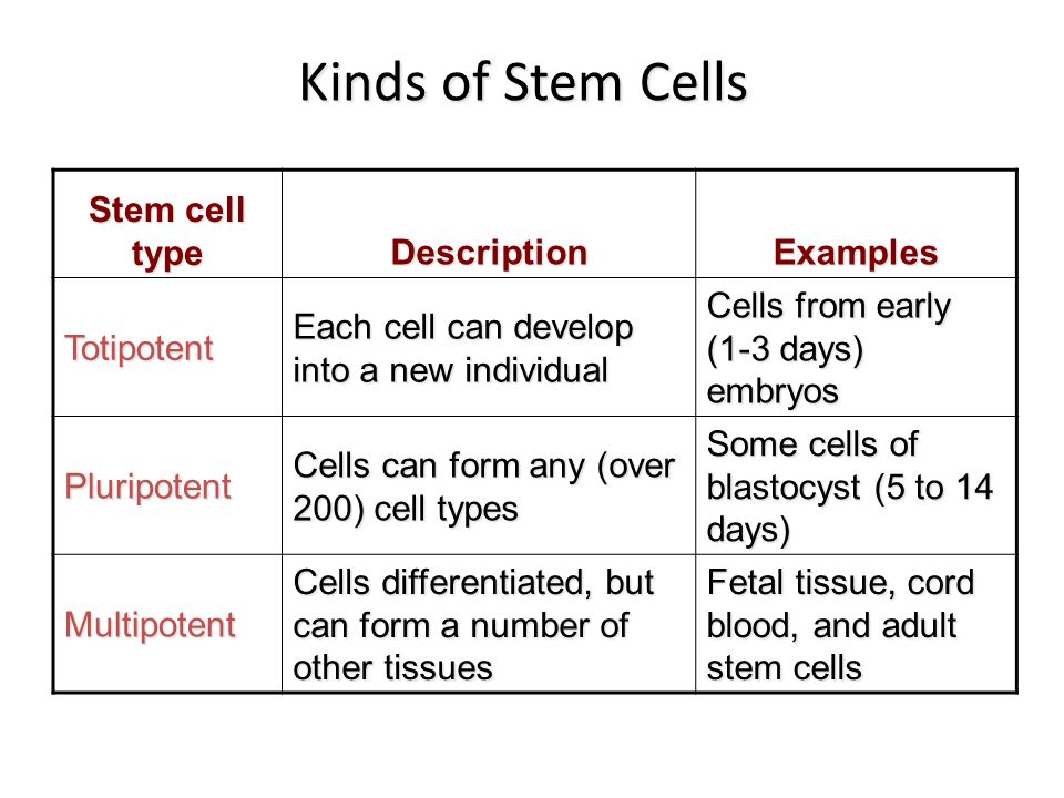 what is the difference between totipotent and pluripotent stem cells