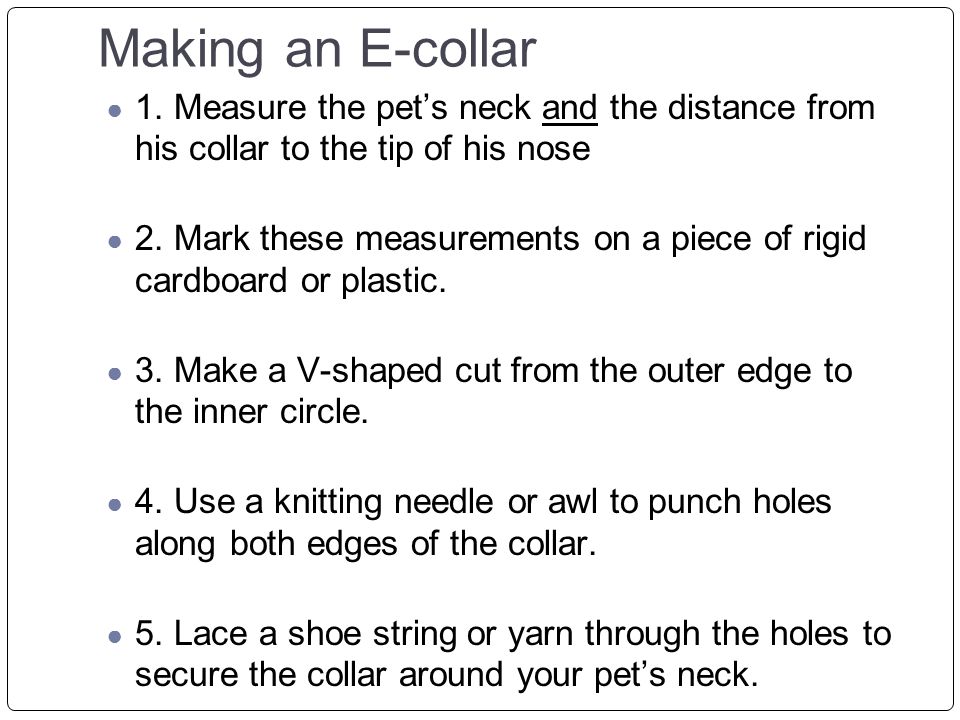 Making an E-collar 1. Measure the pet’s neck and the distance from his collar to the tip of his nose.