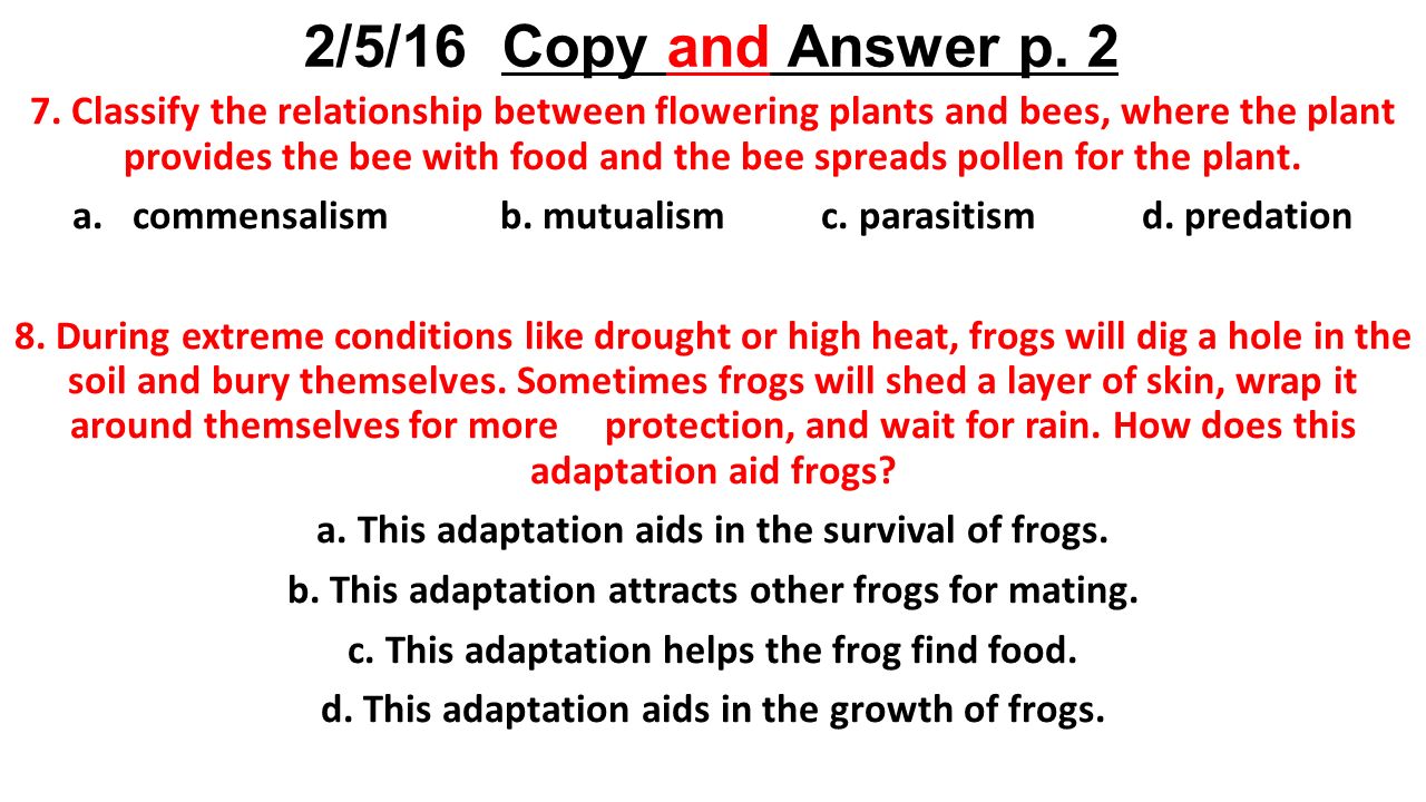 Starter 211/211/211 Copy and Answer on p.21 - ppt video online download For Osmosis Jones Worksheet Answer Key