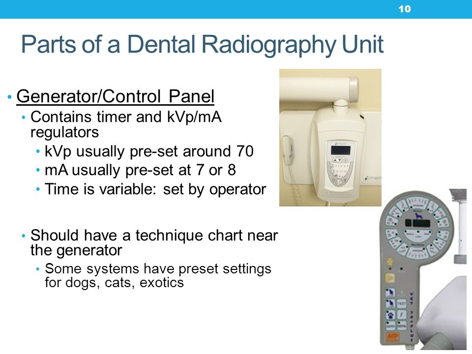 Dental X Ray Technique Chart