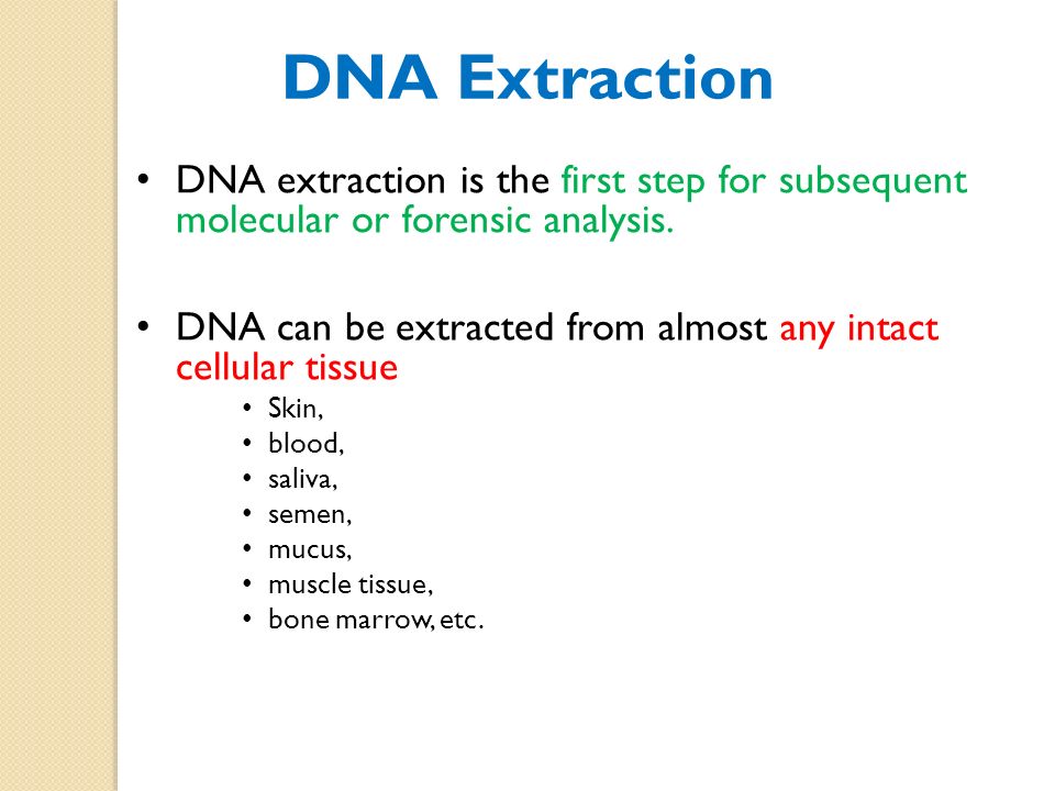 Extraction of Human DNA from blood - ppt video online download