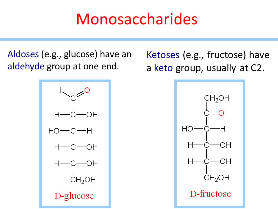 Monosaccharides Aldoses (e.g., glucose) have an aldehyde group at one end.