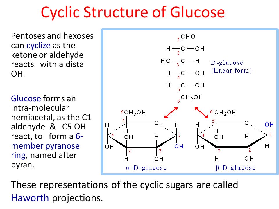 Cyclic Structure of Glucose