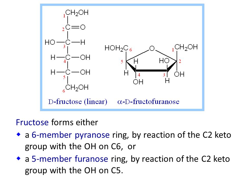 Fructose forms either a 6-member pyranose ring, by reaction of the C2 keto group with the OH on C6, or.